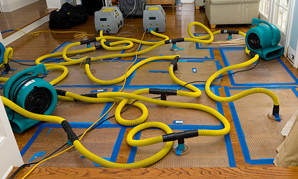 Professional Burst Pipe Water Damage technician working in San Dimas, CA